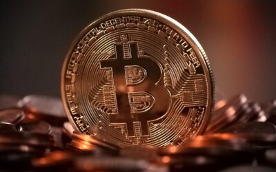 Stellar et Ripple : Comparaison des Solutions de Paiement Transfrontalier